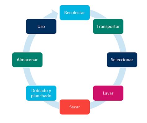 Proceso de lavado de ropa delicada en lavandería