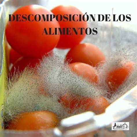 Infografía: factores que impiden la descomposición de alimentos