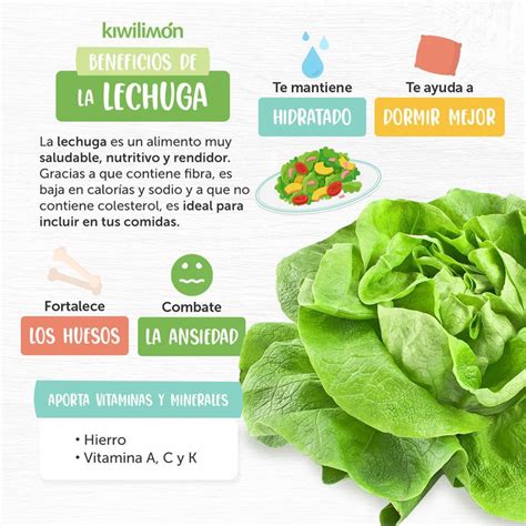 Infografía sobre los beneficios de la lechuga, el tomate y la cebolla en la ensalada mixta