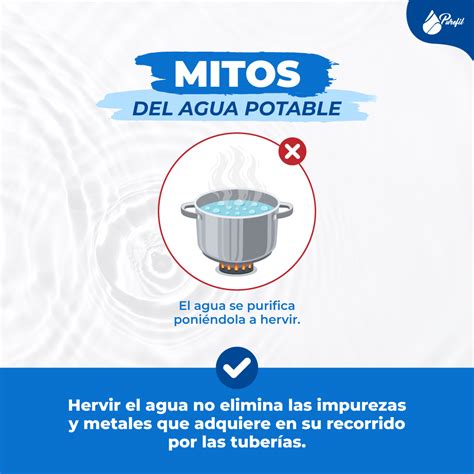 Infografía: lo que el agua hervida no elimina
