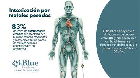 Gráfico de los efectos de metales pesados en órganos humanos