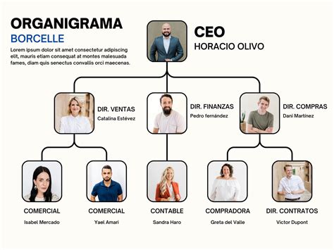 Organigrama de la empresa Sibari Foods and Events SL