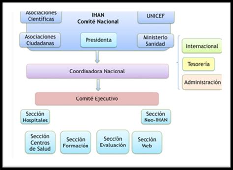 Esquema de los programas ofrecidos por la Asociación Pan Bendito