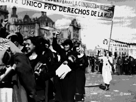 Mimosa, símbolo de la lucha por los derechos de las mujeres