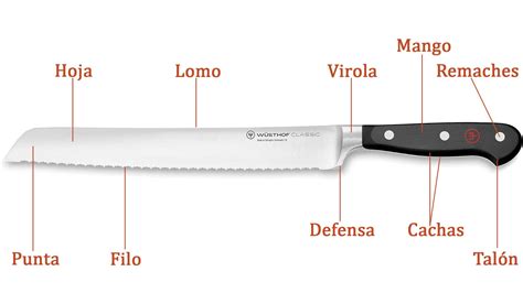 Infografía: factores clave para elegir un cuchillo de pan