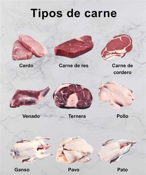 Tipos de carnes usadas en pasteles de carne