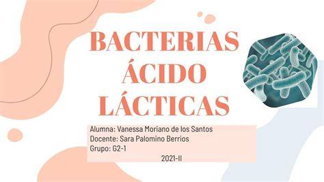 Representación microscópica de bacterias ácido lácticas.