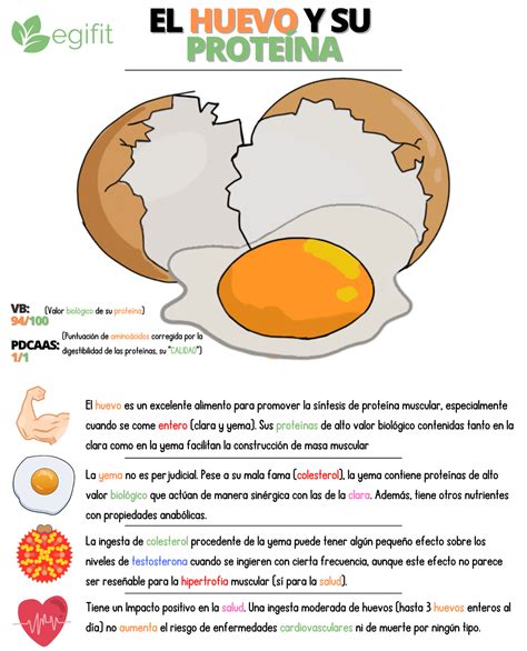 Huevos como fuente de proteína y vitaminas