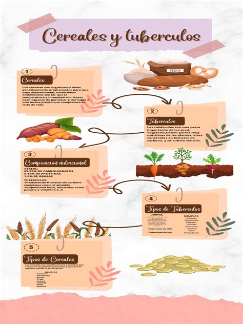 Infografía: Comparación nutricional de tubérculos populares