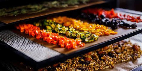 Envase de comida deshidratada para camping