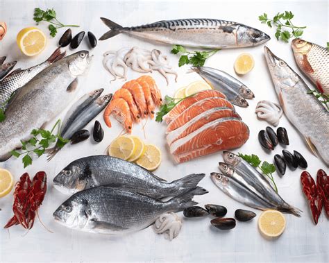 Variedad de pescados frescos ideales para freír