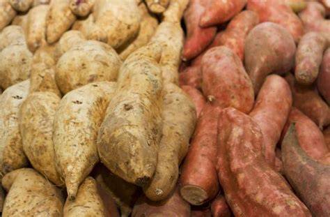 Variedades de batata y boniato