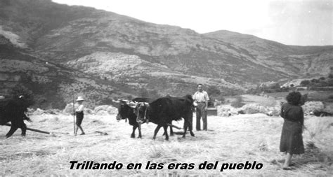 Era de trillar tradicional con animales