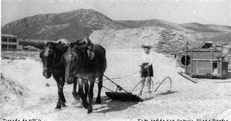 Niños en el trillo durante la trilla