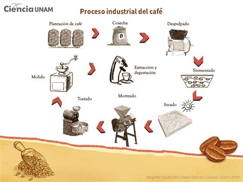 Proceso de aventado o ablentado del grano