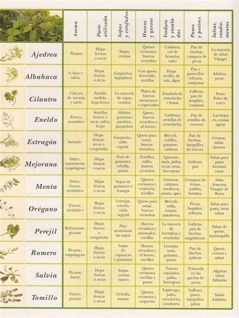 Tabla de condimentos y especias para sopas