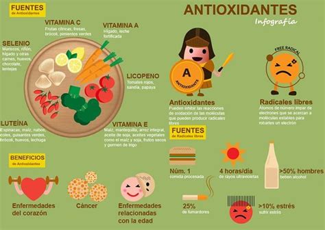 Infografía mostrando los antioxidantes presentes en el agua de cáscara de papa