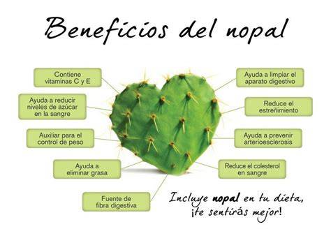 Infografía: Beneficios para la salud del nopal