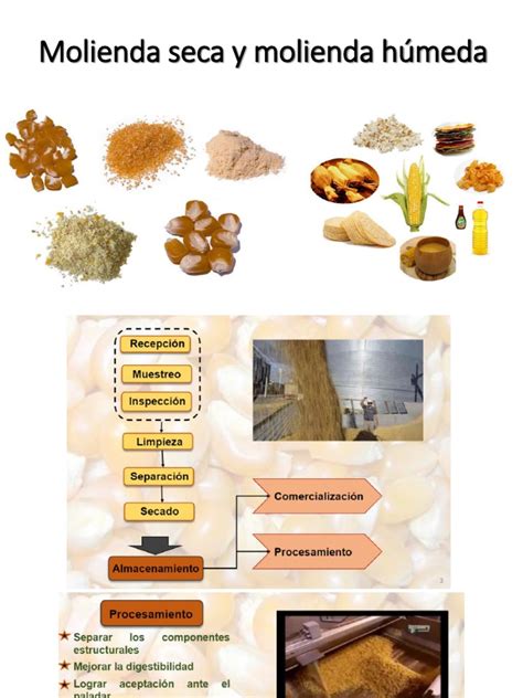 Tipos de trigo y molienda