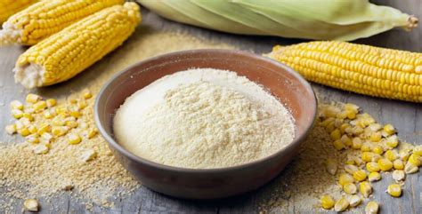 granos de maíz y harina de maíz