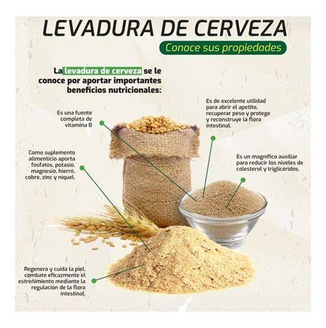 Diferentes presentaciones de la levadura de cerveza: polvo, escamas y cápsulas