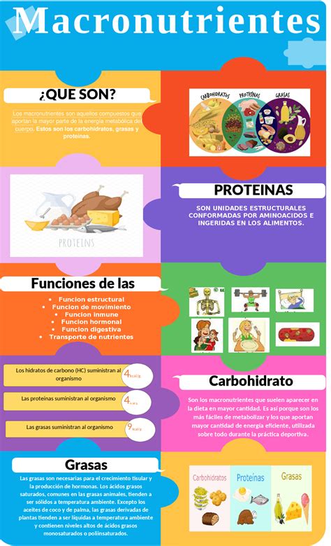 Infografía comparativa de macronutrientes de diferentes tipos de carne de hamburguesa.
