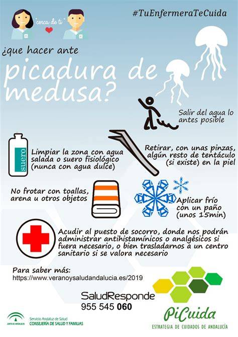 Esquema de primeros auxilios para picadura de medusa