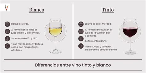 Varios tipos de vino tinto y blanco