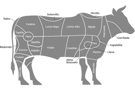 Esquema de los cortes de carne de ternera en España, resaltando el churrasco