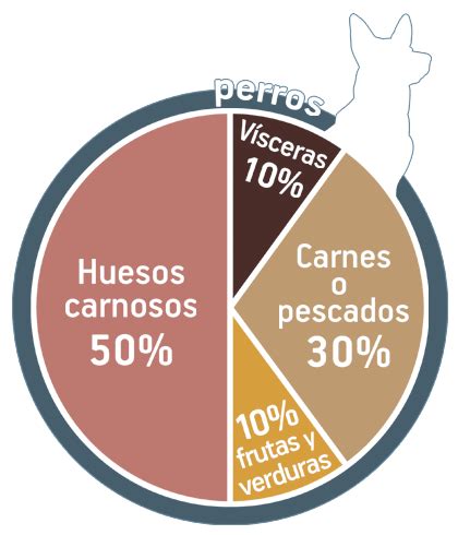 Gráfico de porcentajes de alimentación en dieta BARF