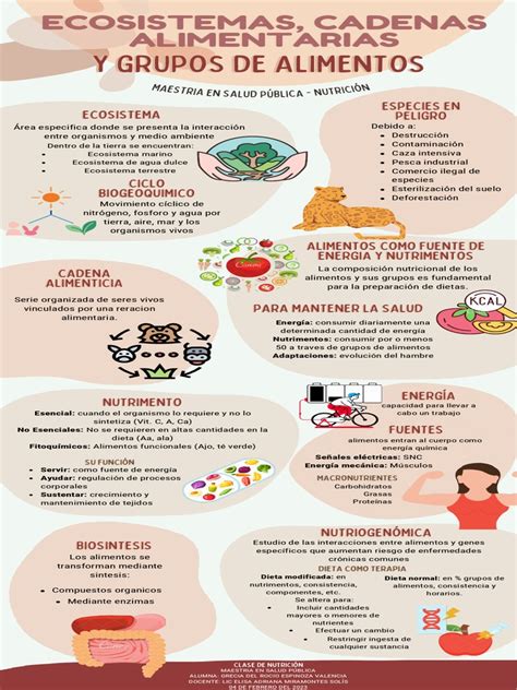 Infografía sobre los nutrientes clave de las castañas
