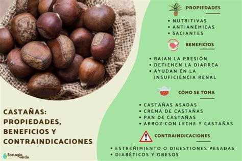 Esquema de los beneficios de la castaña para el cuerpo humano