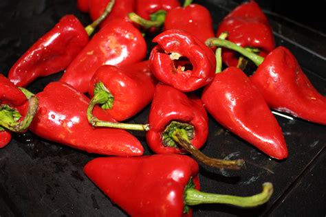 Pimientos del piquillo de Navarra