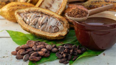 Historia y origen del chocolate