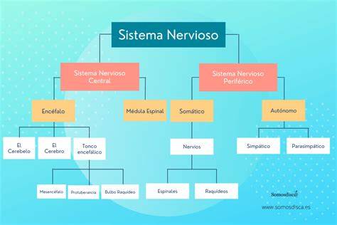 Esquema del sistema GS4 de Weber