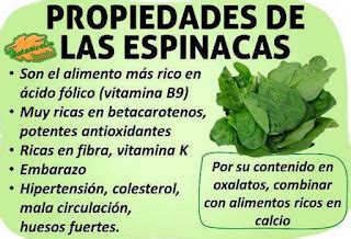 Infografía sobre los beneficios nutricionales de las espinacas