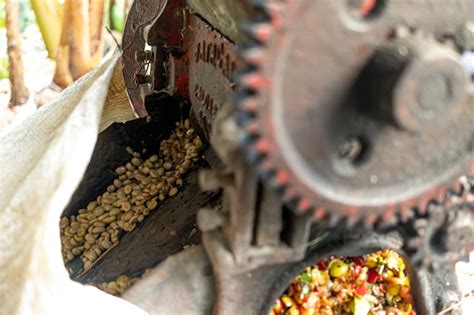 Thermomix moliendo granos de café
