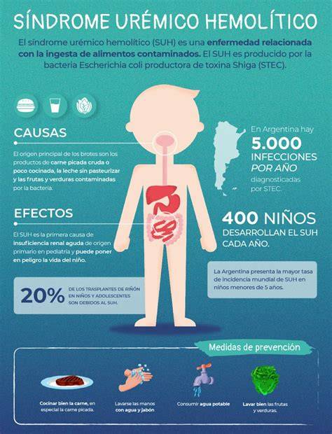 Gráfico de síntomas del SUH