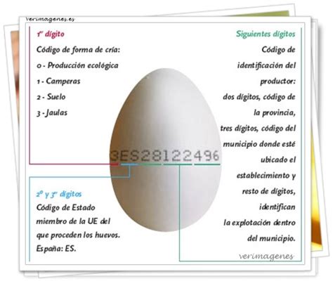Información sobre el código de los huevos