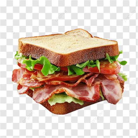 Ilustración de un sándwich gourmet con ingredientes frescos