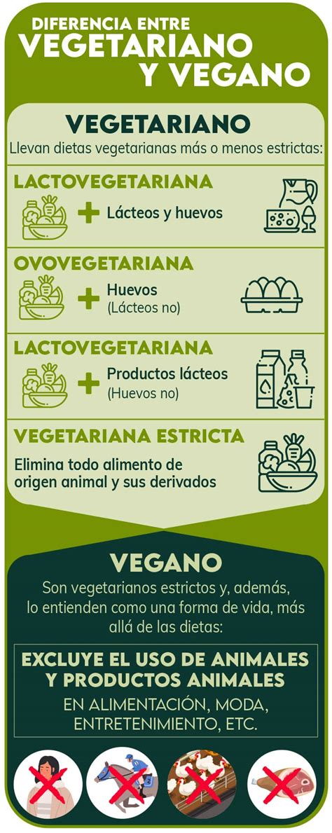Infografía sobre la variedad de opciones de catering (vegetariano, vegano, sin gluten)
