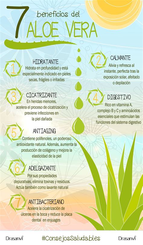 Infografía sobre beneficios del aloe vera para la salud bucal