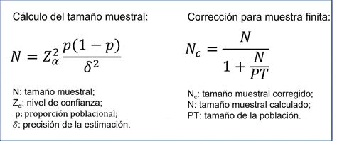 Fórmula para calcular la proporción de moldes