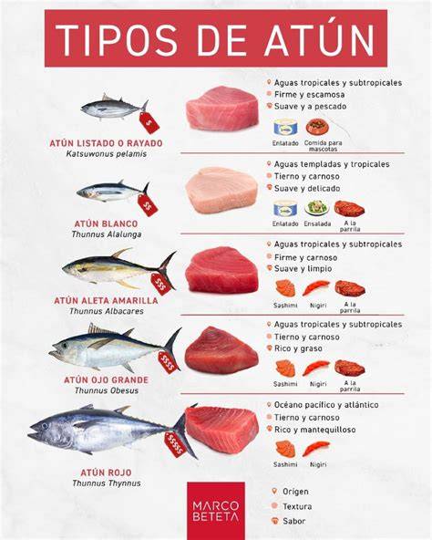 Diferentes tipos de atún