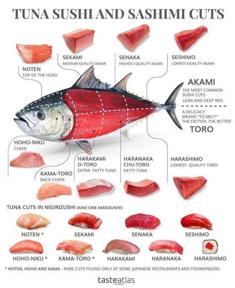 Cortes del atún rojo para sushi
