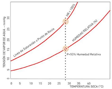 Diagrama explicando la relación entre humedad y crecimiento de moho/bacterias