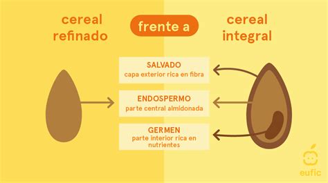 Comparación entre granos enteros y granos refinados
