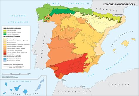 Mapa de regiones con boletus en España