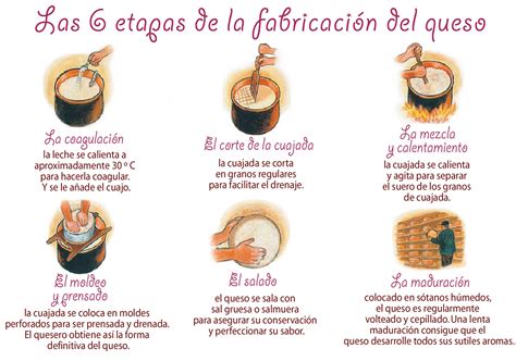 Esquema paso a paso de la elaboración de queso casero