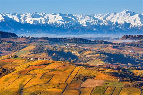 Colline piemontesi con noccioleti